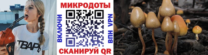 Псилоцибиновые грибы GOLDEN TEACHER  Тамбов 