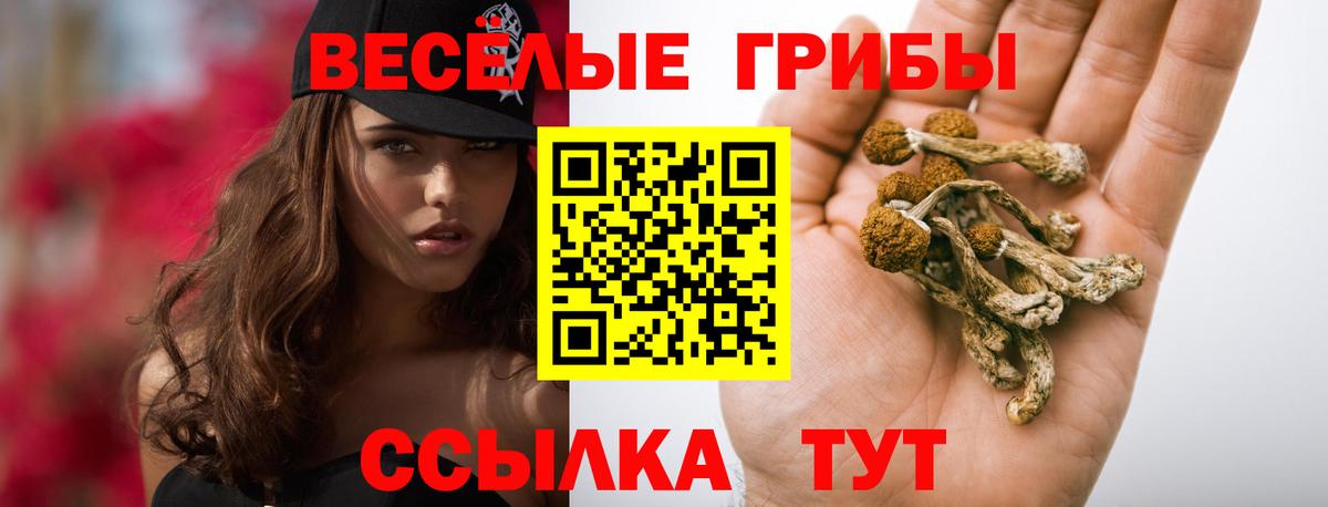 Псилоцибиновые грибы Psilocybine cubensis  купить наркотик  Тамбов  Вход с VPN 